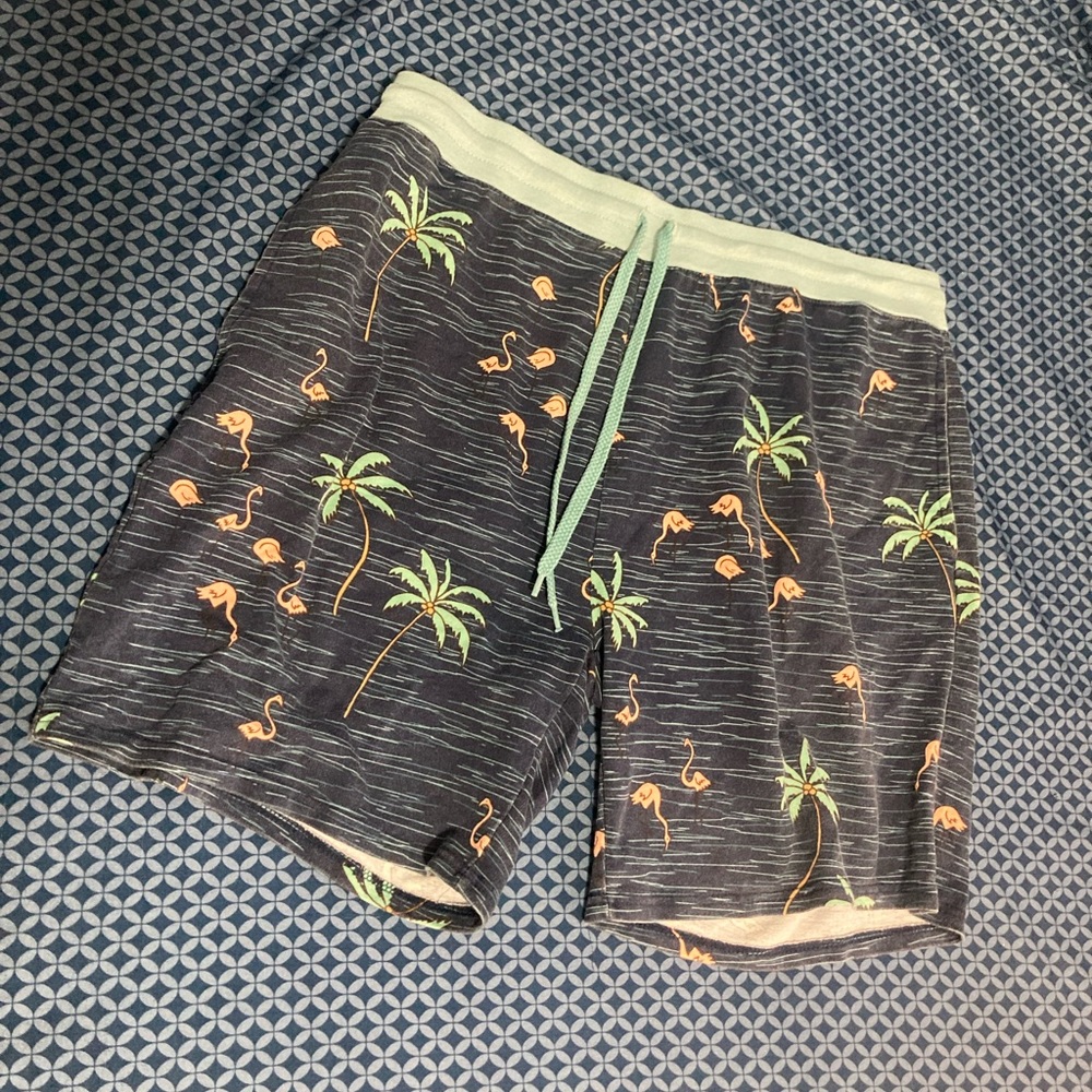 No boundaries cotton Mens shorts